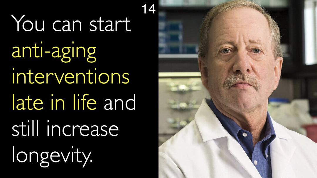 You can start anti-aging interventions late in life and still increase longevity. 14
