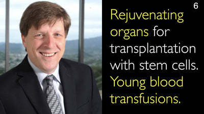Rejuvenating organs for transplantation with stem cells. Young blood transfusions. 6