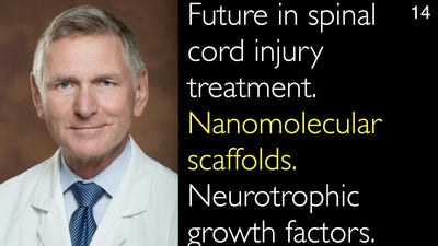 Future in spinal cord injury treatment. Nanomolecular scaffolds. Neurotrophic growth factors. 14